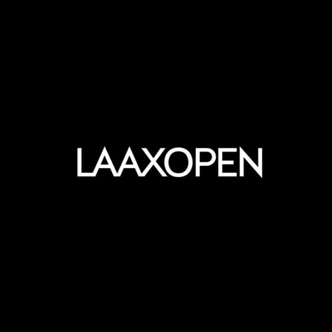 LAAX 02